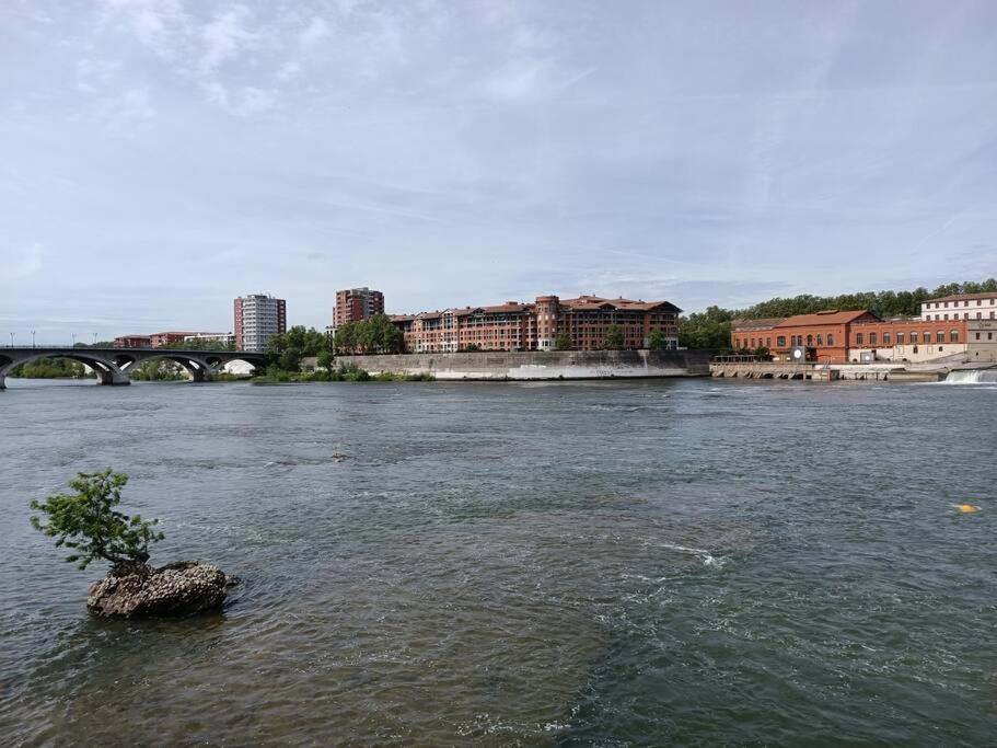T3 Lumineux - Berges De La Garonne - Parking Apartamento Toulouse Exterior foto